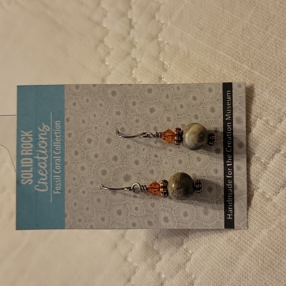 Fossil coral earrings